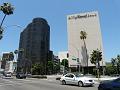 Beverly  P1020333